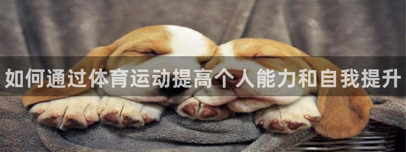 xc体育
