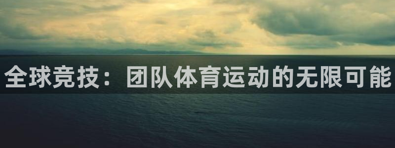 xc体育