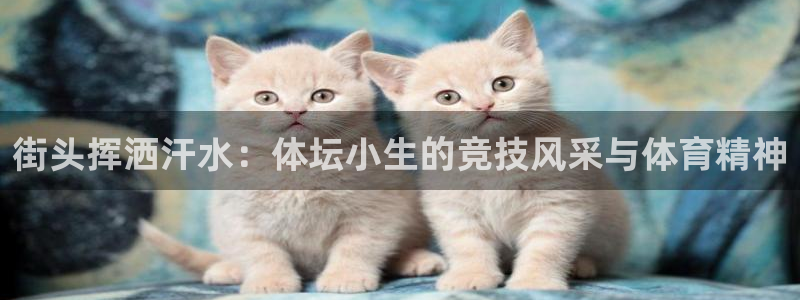 xc体育app官方网站：街头挥洒汗水：体坛小生的竞技风采与体育精神