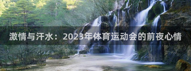 xc体育：激情与汗水：2023年体育运动会的前夜心情
