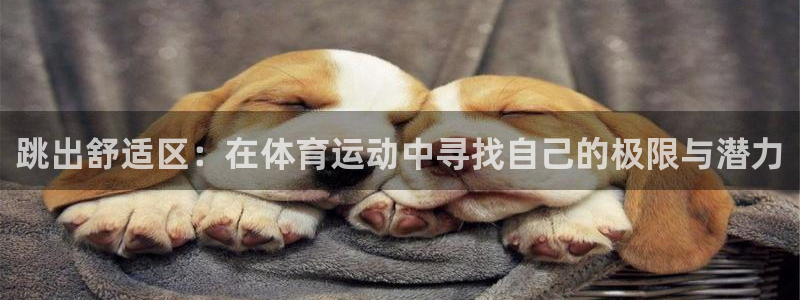 xc体育：跳出舒适区：在体育运动中寻找自己的极限与潜力