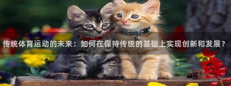 xc体育app官方网站：传统体育运动的未来：如何在保持传统的基础上实现创新和发展？