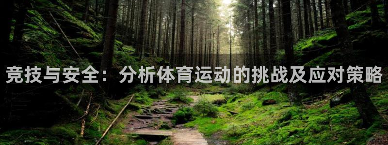 xc体育app官方网站