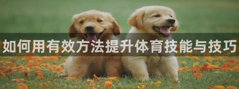 xc体育app官方网站：如何用有效方法提升体育技能与技巧