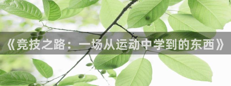 xc体育app官方网站：《竞技之路：一场从运动中学到的东西》