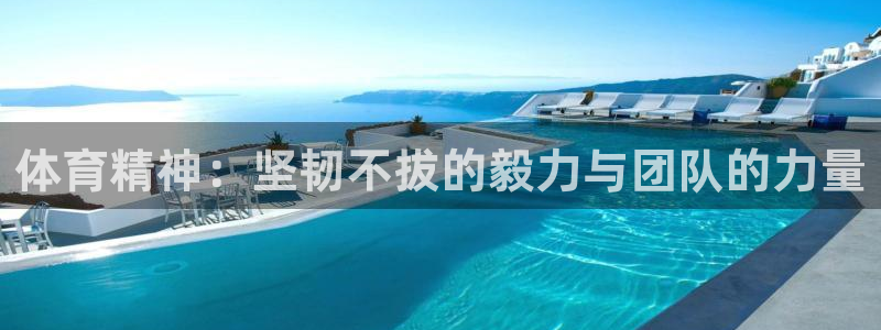 xc体育app官方网站