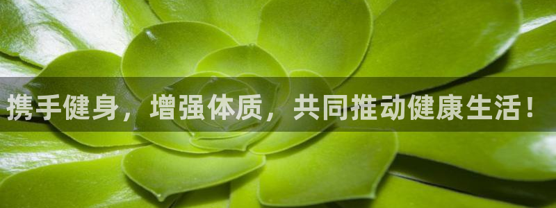 xc体育