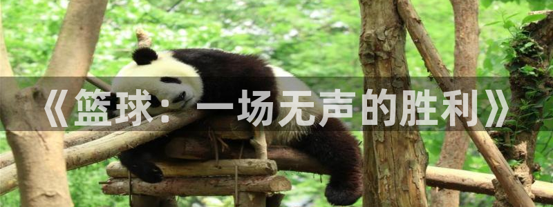 xc体育：《篮球：一场无声的胜利》