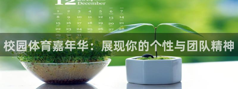 xc体育app官方网站：校园体育嘉年华：展现你的个性与团队精神