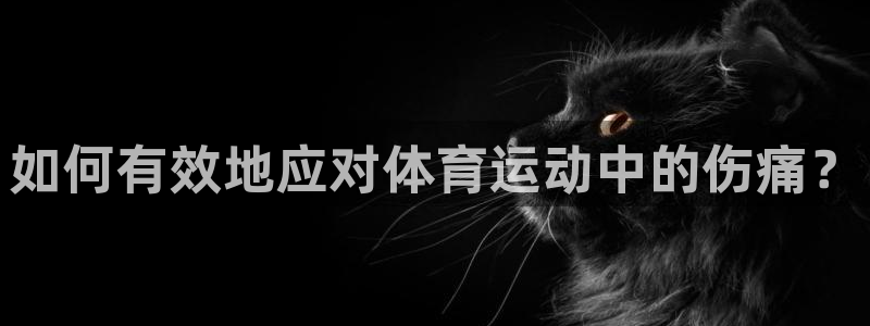 xc体育app官方网站：如何有效地应对体育运动中的伤痛？