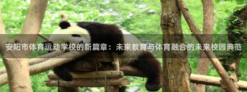 xc体育app官方网站：安阳市体育运动学校的新篇章：未来教育与体育融合的未来校园典范